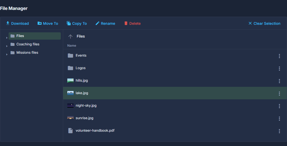 With a file picked up, the top of the page offers Download, Move To, Copy To, Rename and Delete. Clear Selection puts it back down.