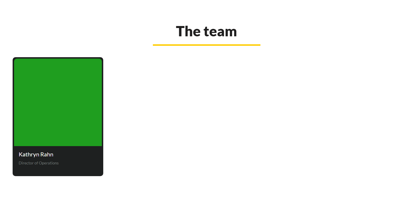 Everyone on the team, in the order the Team page uses.