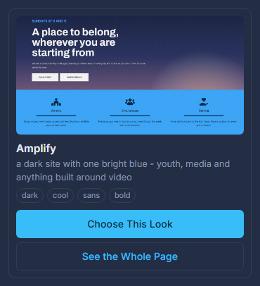 A look: the sample page in that look, its name, who it suits, and its two buttons.