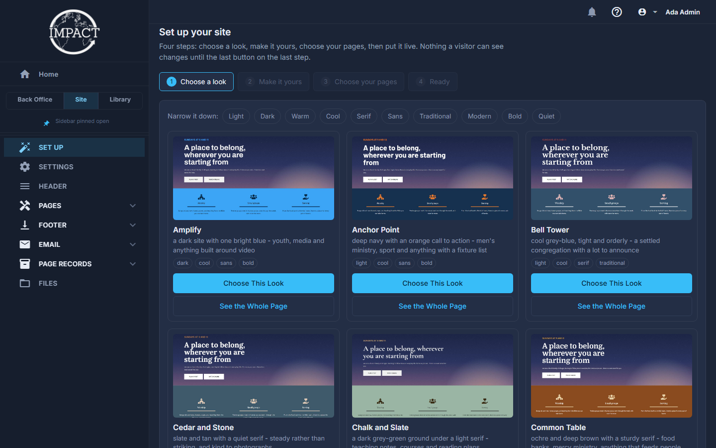The admin's Set up your site screen: choosing one of the ready-made looks