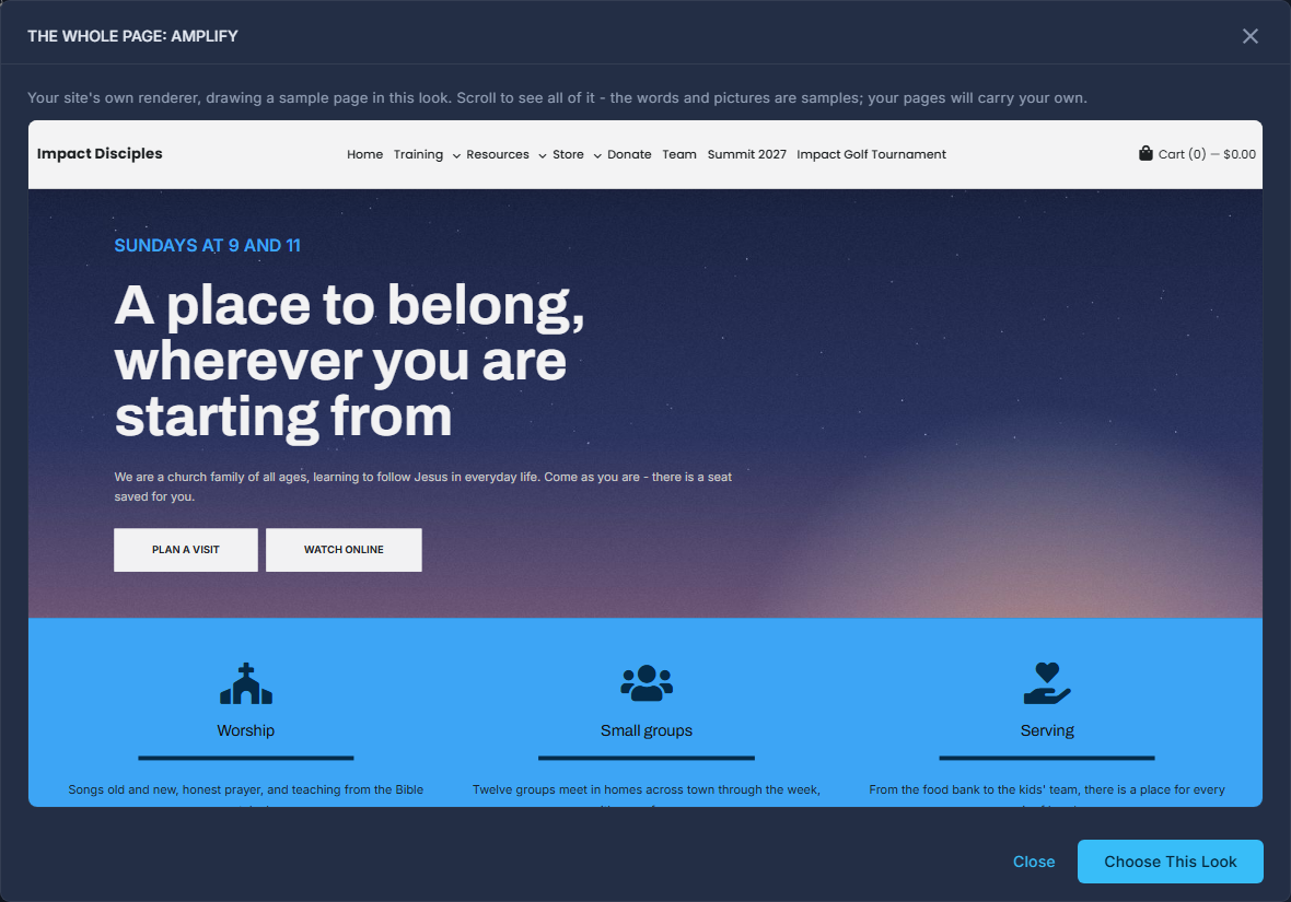 See the Whole Page: your site drawing its sample page in one look, to scroll through before you choose.