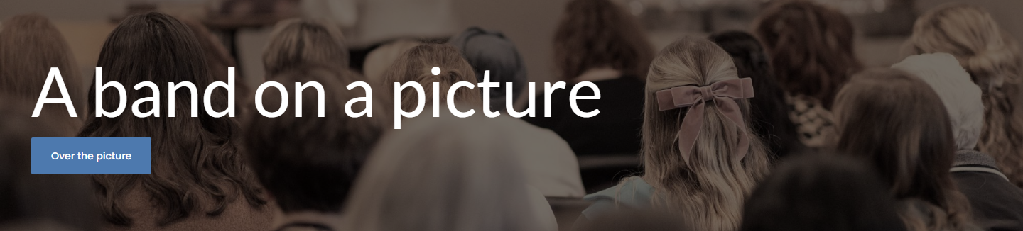On the site: words and a button over the picture.